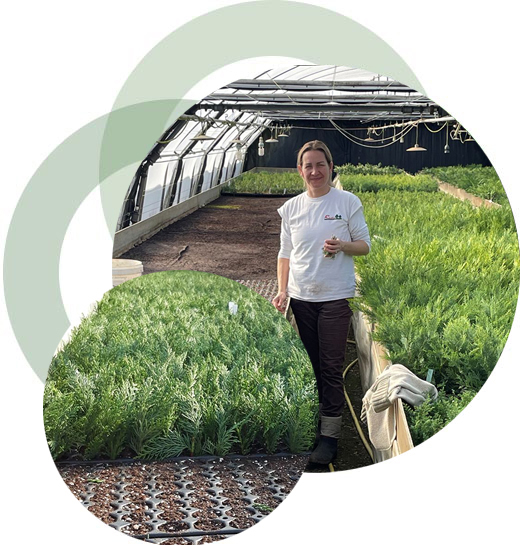 rolunk_img_3 rolunk_img_3